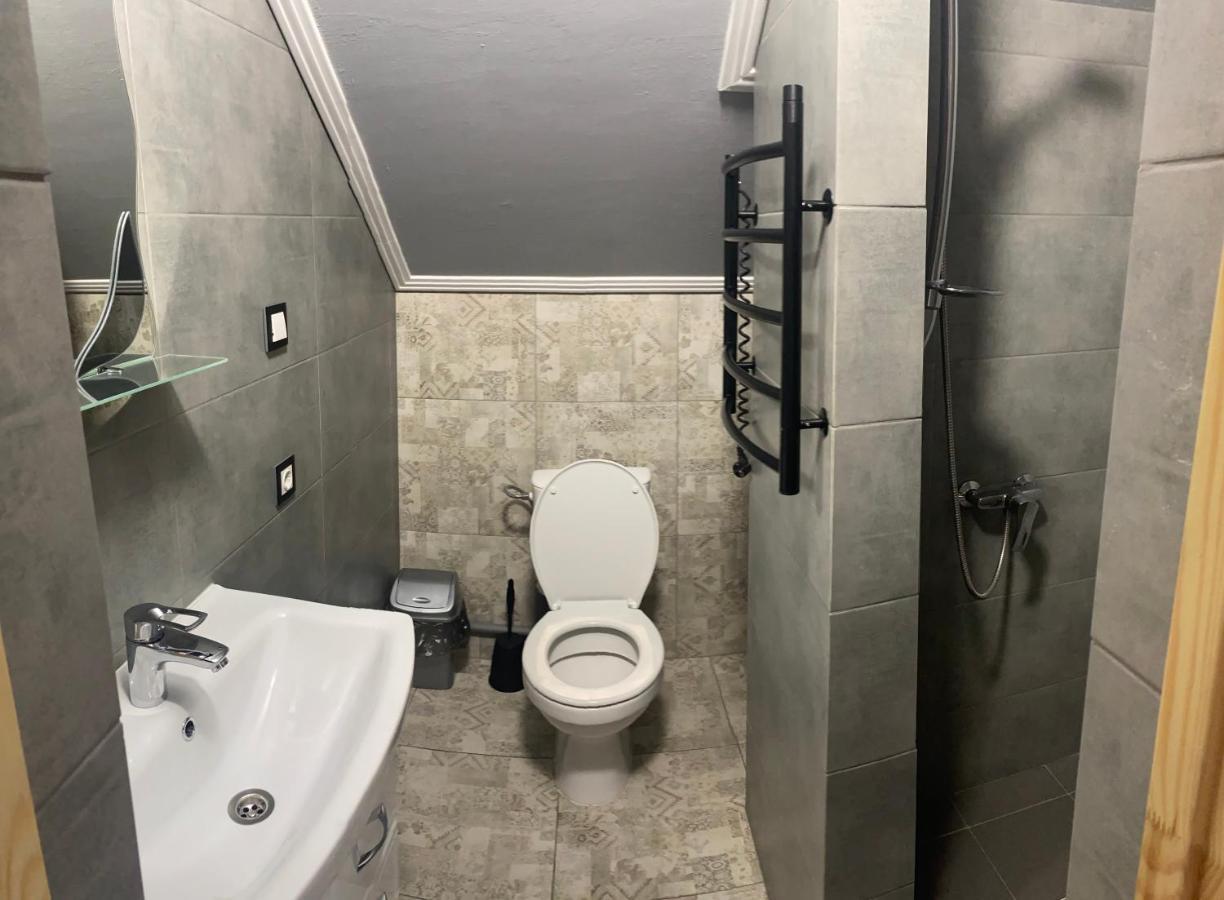 Хочу В Карпати Daire Skole Dış mekan fotoğraf