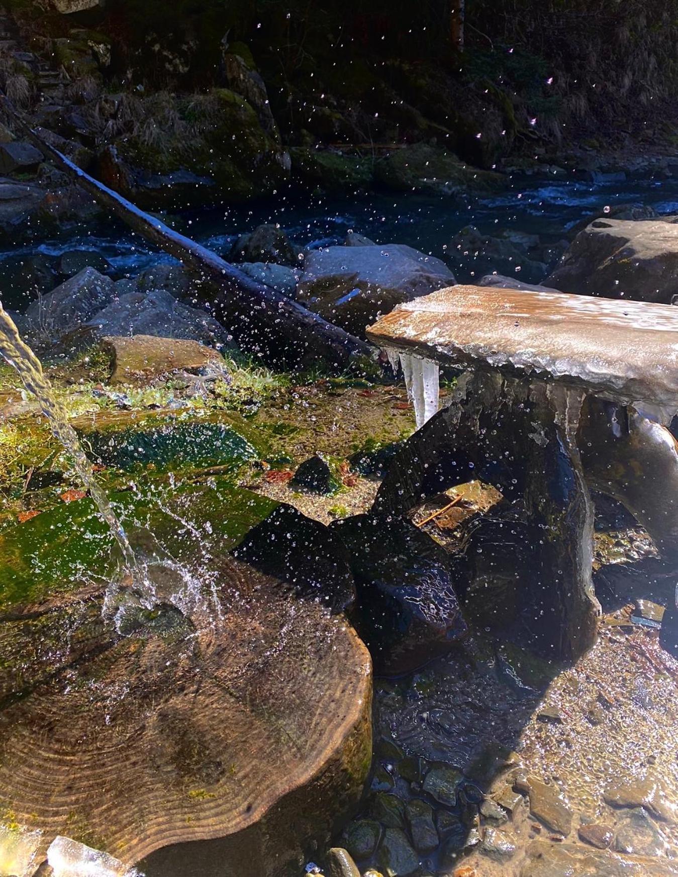 Хочу В Карпати Daire Skole Dış mekan fotoğraf